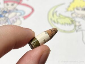 20250211 サワムラー (ヒョウゴのすがた)