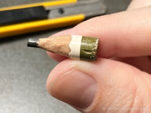 20250211 サワムラー (ヒョウゴのすがた)