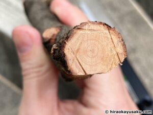 木のクリスタル