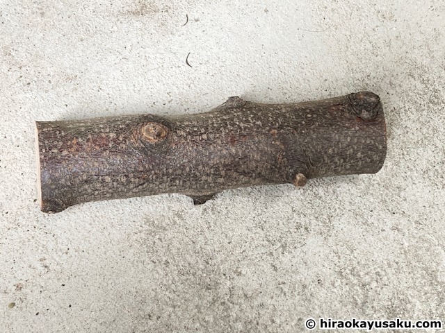 20251108 木のナイフ