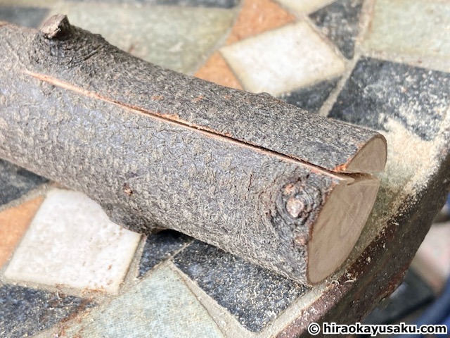 20251108 木のナイフ