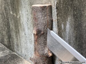 20251108 木のナイフ