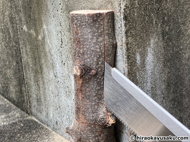 20251108 木のナイフ